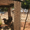  - Foto 12
