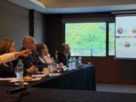 Mato Grosso do Sul e Paraguai discutem integração da saúde nas regiões de fronteira