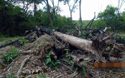 PM multa dois em R$ 10 mil por desmatamento ilegal do rio Sucuriú para construção de ranchos 