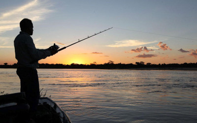 Cota zero para pesca amadora  só vai entrar em vigor em 2020