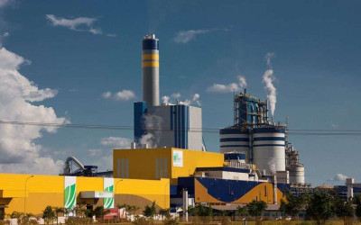 Unidade da Suzano em Três Lagoas (MS) completa 10 anos com recordes em produção e investimento social