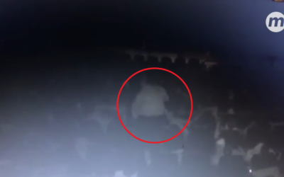 VÍDEO: imagens mostram momento de discussão e morte de bioquímico em sala de cinema