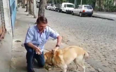 Bolsonaro anuncia criação da Secretaria dos Animais