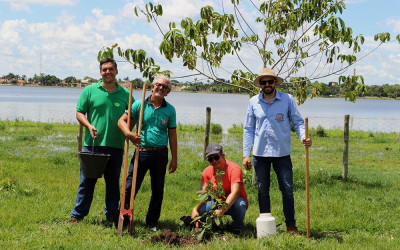 SEMEA realiza plantio de árvores frutíferas na Lagoa Maior