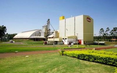 Em MS, 243 funcionários de frigoríficos já testaram positivo para coronavírus