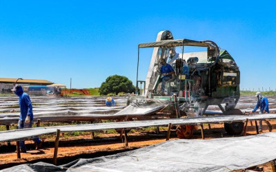 Secretário de Meio Ambiente realiza visitas técnicas