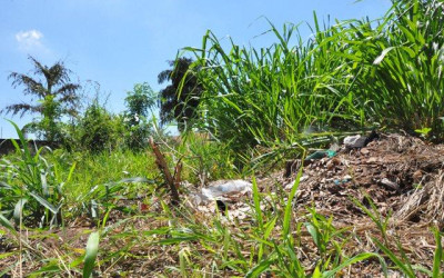 Proprietários de terrenos baldios sujos que não cumpriram notificação de limpeza via Decreto estão sendo multados