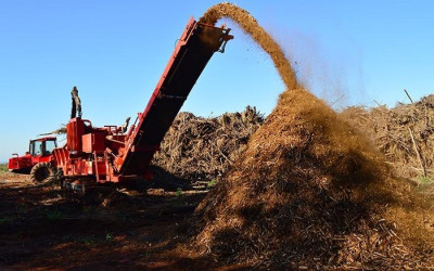 Destinar resíduos corretamente é base para produção mais sustentável e com qualidade