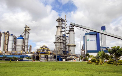 Suzano abre quatro vagas para a indústria em Três Lagoas (MS)
