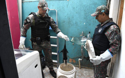 PMA lembra que animal silvestre não é pet e esclarece quando deve ser capturado