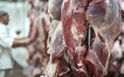 Exportações de MS somam US$ 7,24 bilhões até agosto 