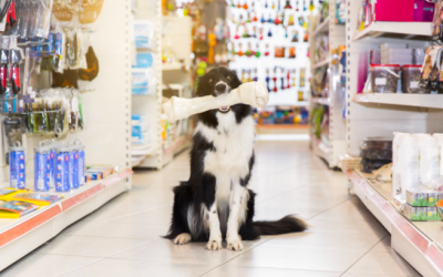 PROCON divulga pesquisa de preços de produtos para pets