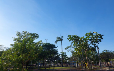 Quinta-feira será de manhã fria e tarde quente em Três Lagoas