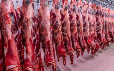 Carne bovina fica fora do tarifaço dos EUA e pecuaristas de MS respiram aliviados