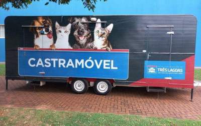 Castramóvel segue no Interlagos com castração gratuita e serviços de saúde para cães e gatos