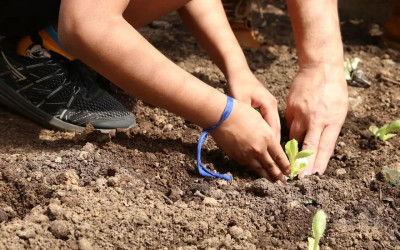 Entidades pedem apoio de candidatos em defesa da agroecologia