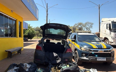  PRF captura motorista com mais de 144 kg de drogas na BR 262