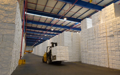 Fibria alcança a marca de 10 milhões de toneladas de celulose produzidas