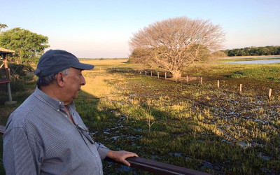 Pedro Chaves é o  relator de projeto que define regras para gestão e proteção do Pantanal