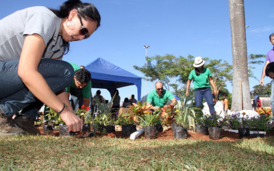 Ação “Áreas Mais Verdes” da Prefeitura planta árvores na Praça Senador Ramez Tebet