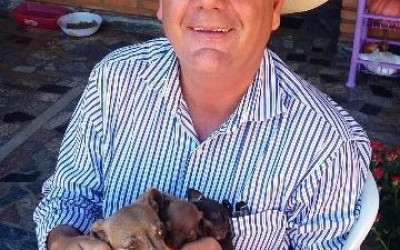 Cachorros de estimação do prefeito Ângelo Guerreiro estão desaparecidos
