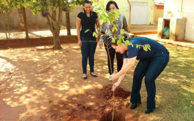 Assistência Social planta árvores em parceria com Meio Ambiente