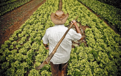 Produtores rurais poderão renegociar dívida e conseguir novos créditos