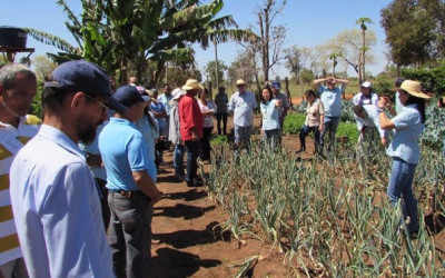 Projeto busca implementar o cultivo de cebola entre agricultores familiares 