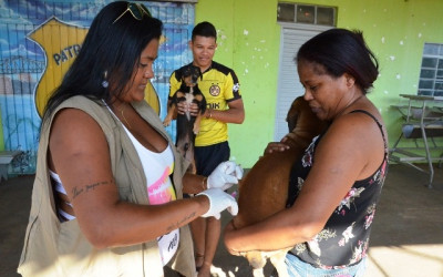 Saúde promove campanha de vacinação de cães e gatos