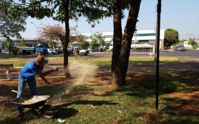 Secretaria de Meio Ambiente utiliza Gesso Agrícola em áreas verdes do município
