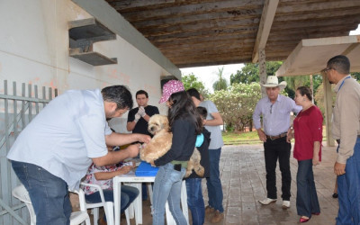 Equipe do CCZ vacina 644 cães e 76 gatos no primeiro dia da campanha