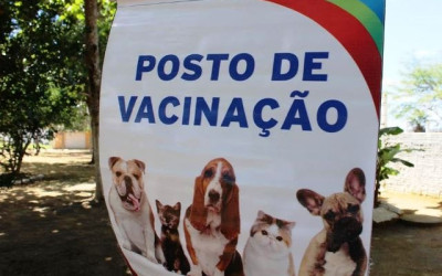 Campanha de vacinação de cães e gatos continua no sábado
