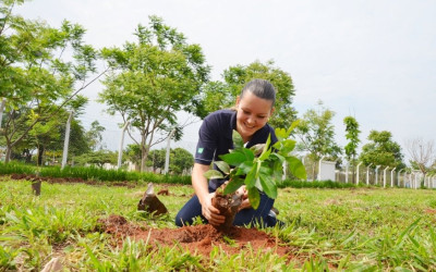 Projeto Áreas Mais Verdes atinja a marca de mais de duas árvores plantadas por dia