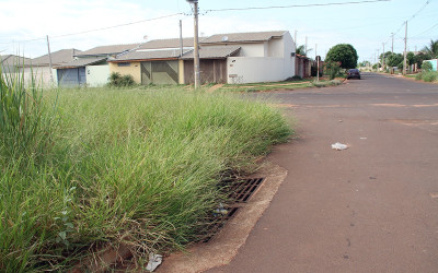 Prefeitura sanciona nova lei sobre limpeza e manutenção de imóveis urbanos
