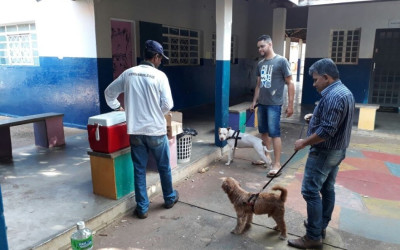 Vacinação antirrábica termina no sábado em oito locais da Cidade