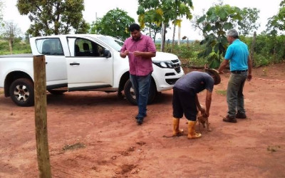 Equipes da Saúde imunizam cães e gatos de casa em casa