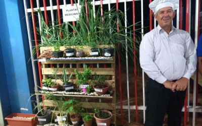 Escola Municipal Professor Elson Lot Rigo desenvolve projeto com Plantas Medicinais