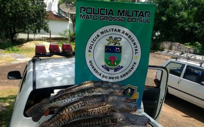 PMA bate recordes no 1º mês de Piracema com 1,2 tonelada de pescado apreendida e R$ 110 mil em multas