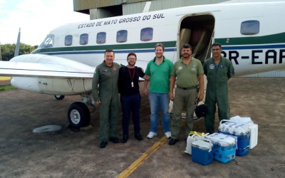 Vítima de acidente de trânsito se torna a terceira doadora de órgãos de Três Lagoas 