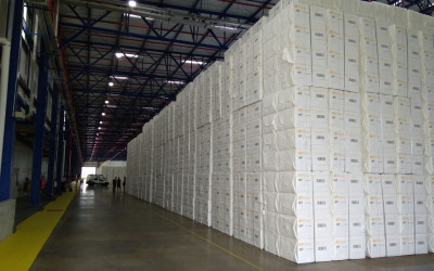 Exportações em Mato Grosso do Sul sobem 14,3% no bimestre e celulose lidera