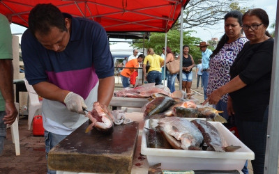 Alvará para a 5ª Feira do Peixe deve ser retirado até amanhã no Departamento de Turismo