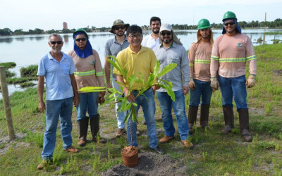 Fibria faz doação de mudas de árvores para os novos bosques da Lagoa Maior 