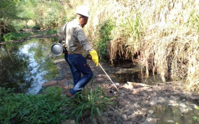 Índices de dengue e leishmaniose continuam estáveis em Três Lagoas