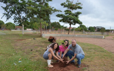 Praça do jardim das Acácias recebe mais 25 mudas de árvores pelo Projeto Áreas Mais Verdes
