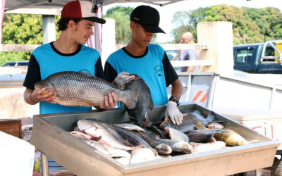 A 5ª Feira do Peixe recebe cerca de 4 mil clientes em Três Lagoas