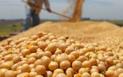 Em MS, preço da saca de soja tem alta de 29,28% no período de um ano