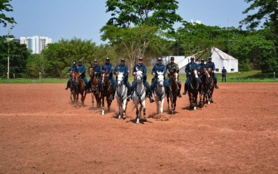 Cavalaria da PM será atração no Desfile Cívico dos 103 anos de Três Lagoas