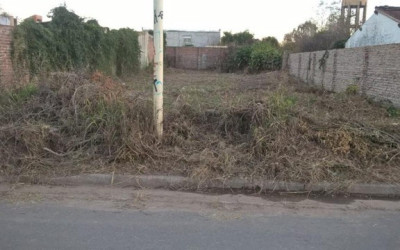 Cerca de 230 proprietários são notificados para limpar terrenos