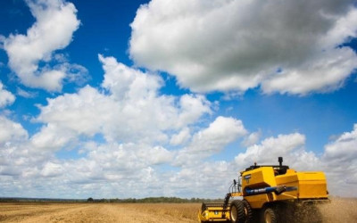 Estimativa da produção agrícola de MS é reduzida em 7% pelo IBGE