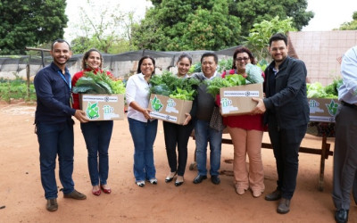 Hortaliças são distribuídas aos SCFVs de Três Lagoas